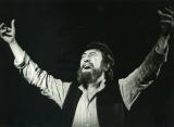Hegedűs a háztetőn, Operettszínház